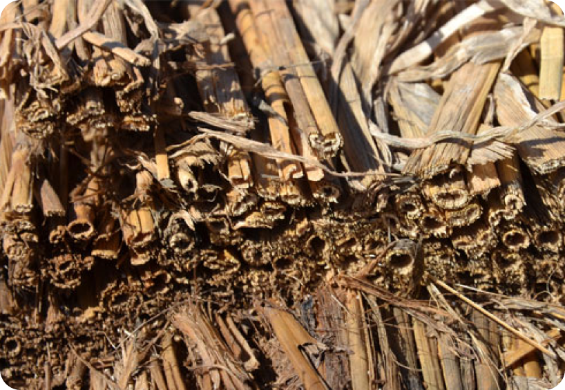 AquaTill No-Till in Agricoltura